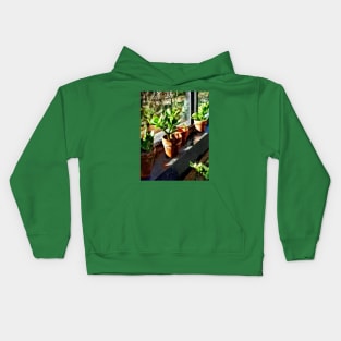 Jade Plants in Greenhouse Kids Hoodie